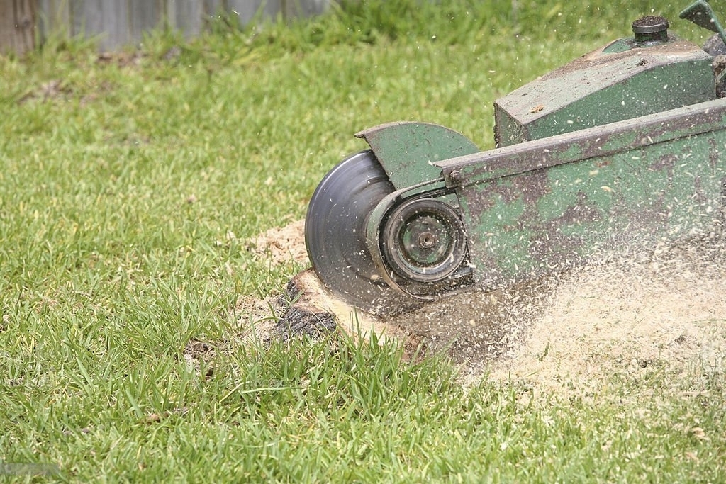 Stump Grinding Columbus